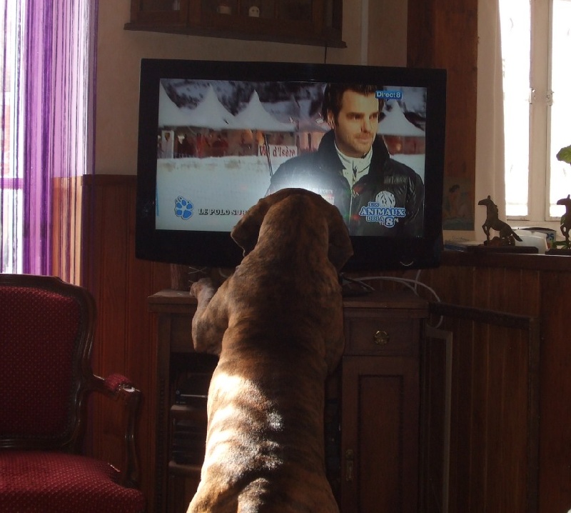 Carmen et la Télévision